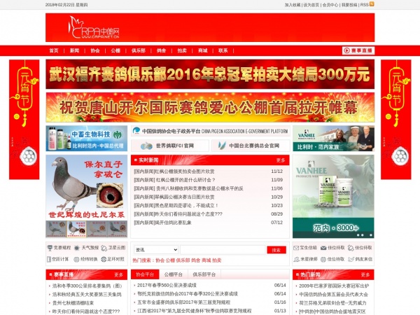中鸽网缩略图 中鸽网缩略图