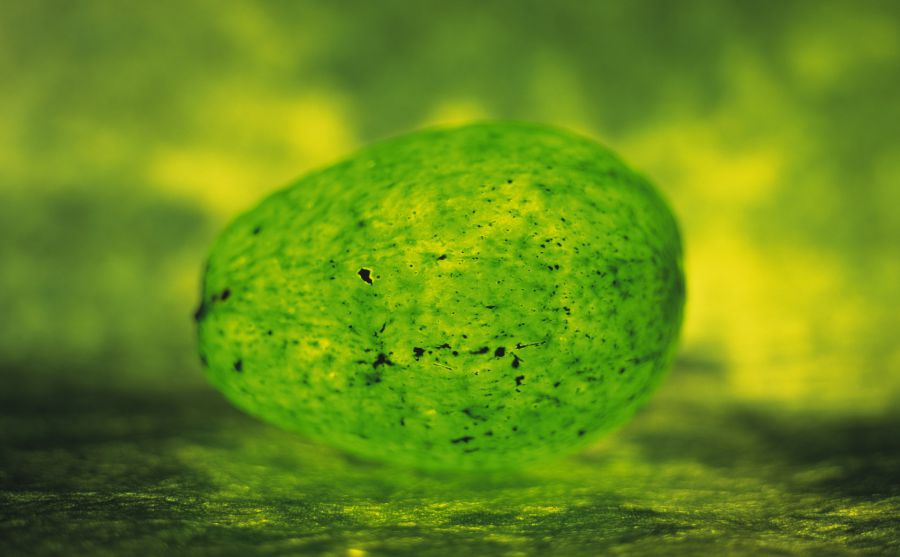 Ĵ